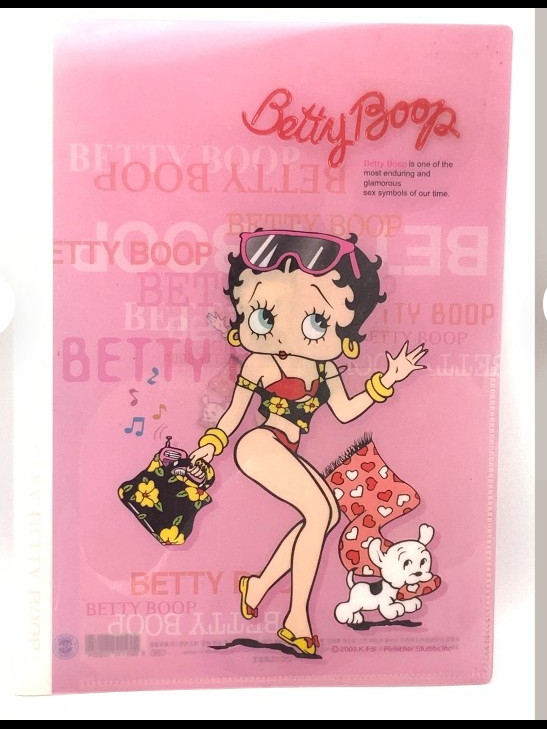 Rare Gorgeous Collectible Betty Boop Plastic Folder Rare Gorgeous Collectible Betty Boop Plastic Folder